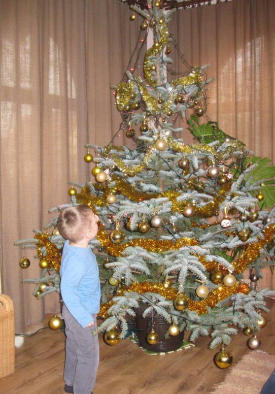 Gyermek karácsonyfát díszít